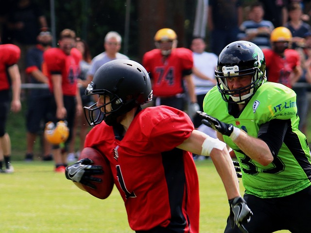 的职业生涯 的职业生涯