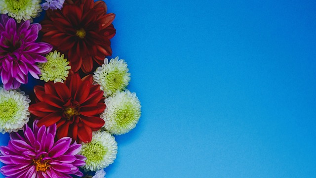 重要一员 重要一员